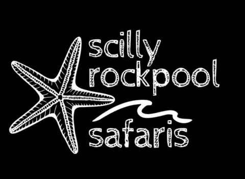 Scilly rockpool safaris