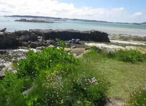 The Old Quay