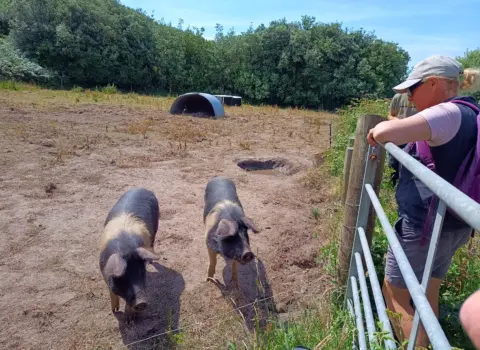 Hillside Farm