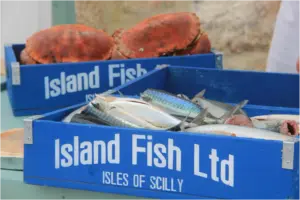 Island Fish Ltd