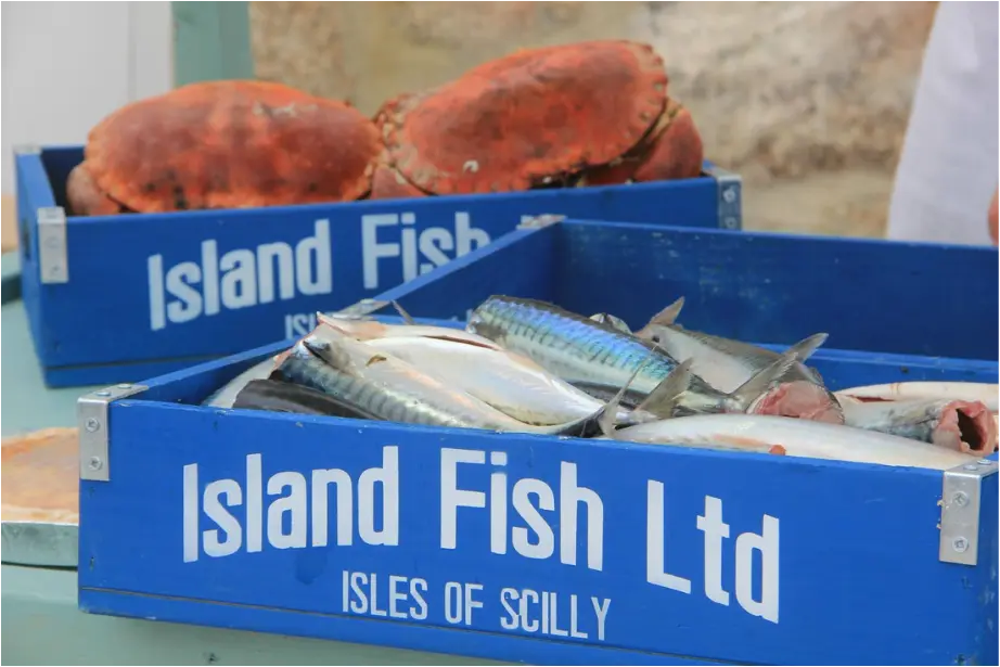 BRYHER