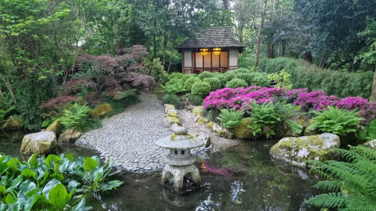 Pinetum Garden Apartments