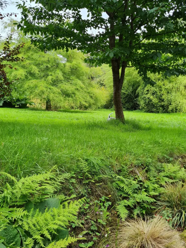 Pond Cottage