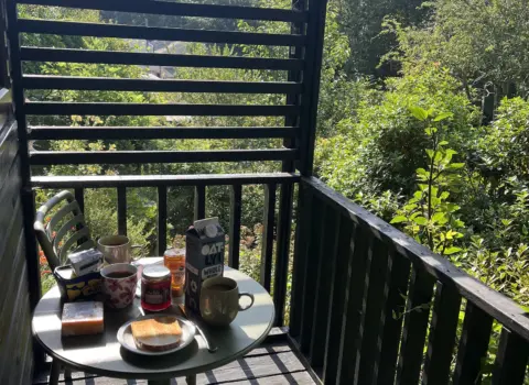 Treetops Lodge