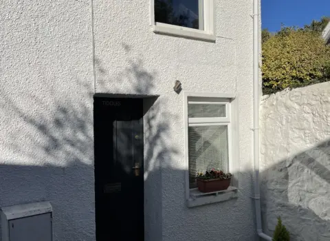 Tiddles