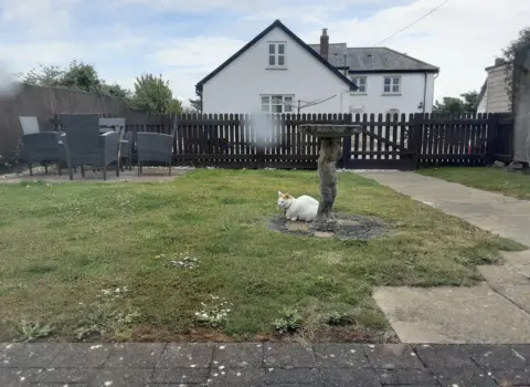 The Old Smithy