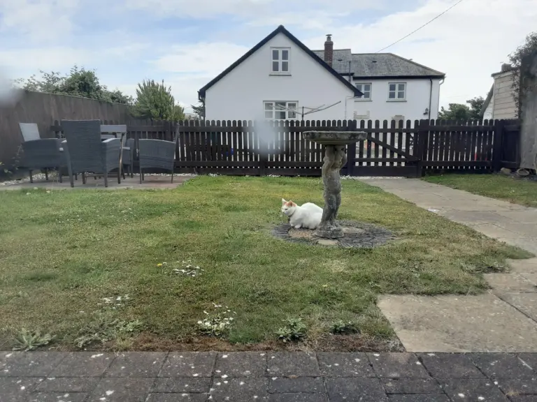 The Old Smithy