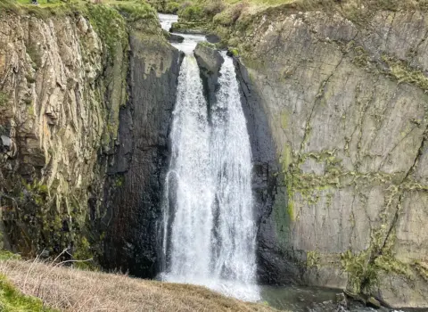 West Lee