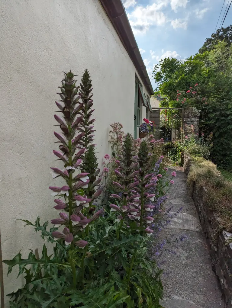 Palmers Lodge