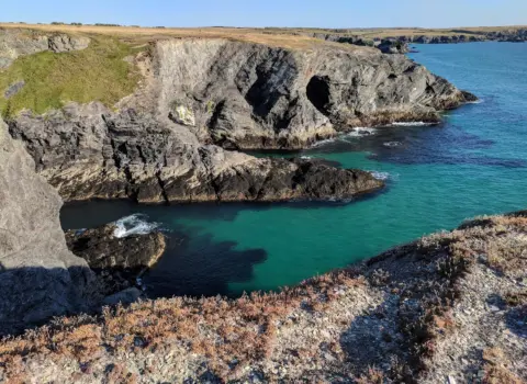 Fox Cove