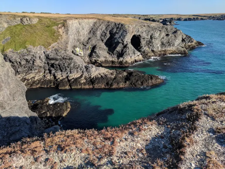 Fox Cove