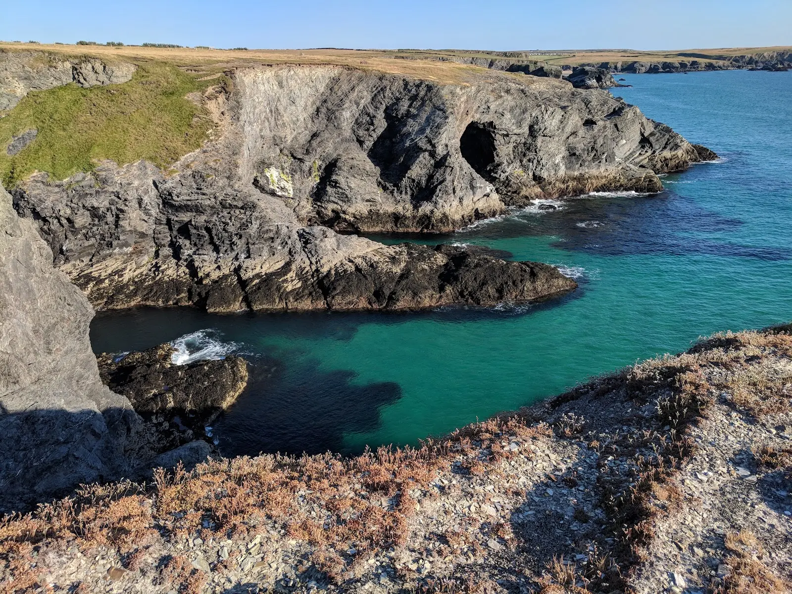 Fox Cove