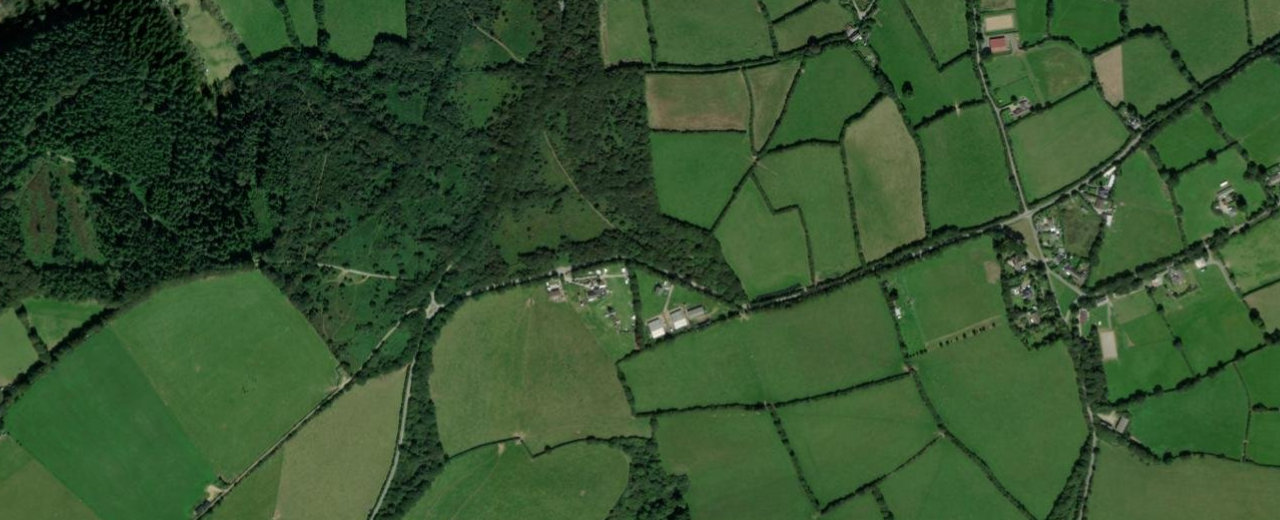 Cardinham Woods, Cornwall
