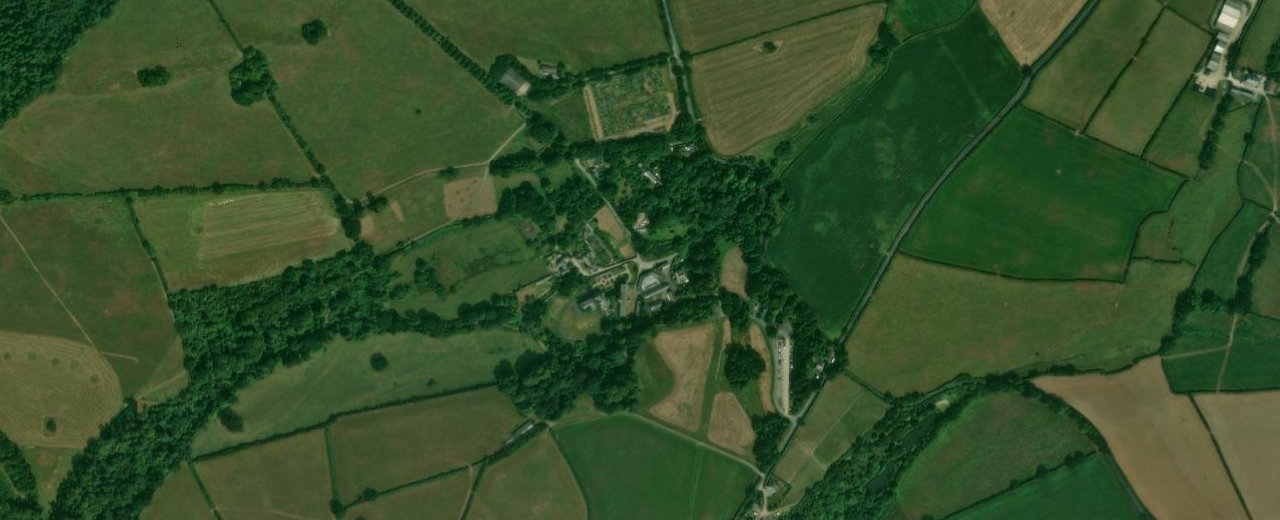 Bluebell trail at Buckland Abbey, Cornwall