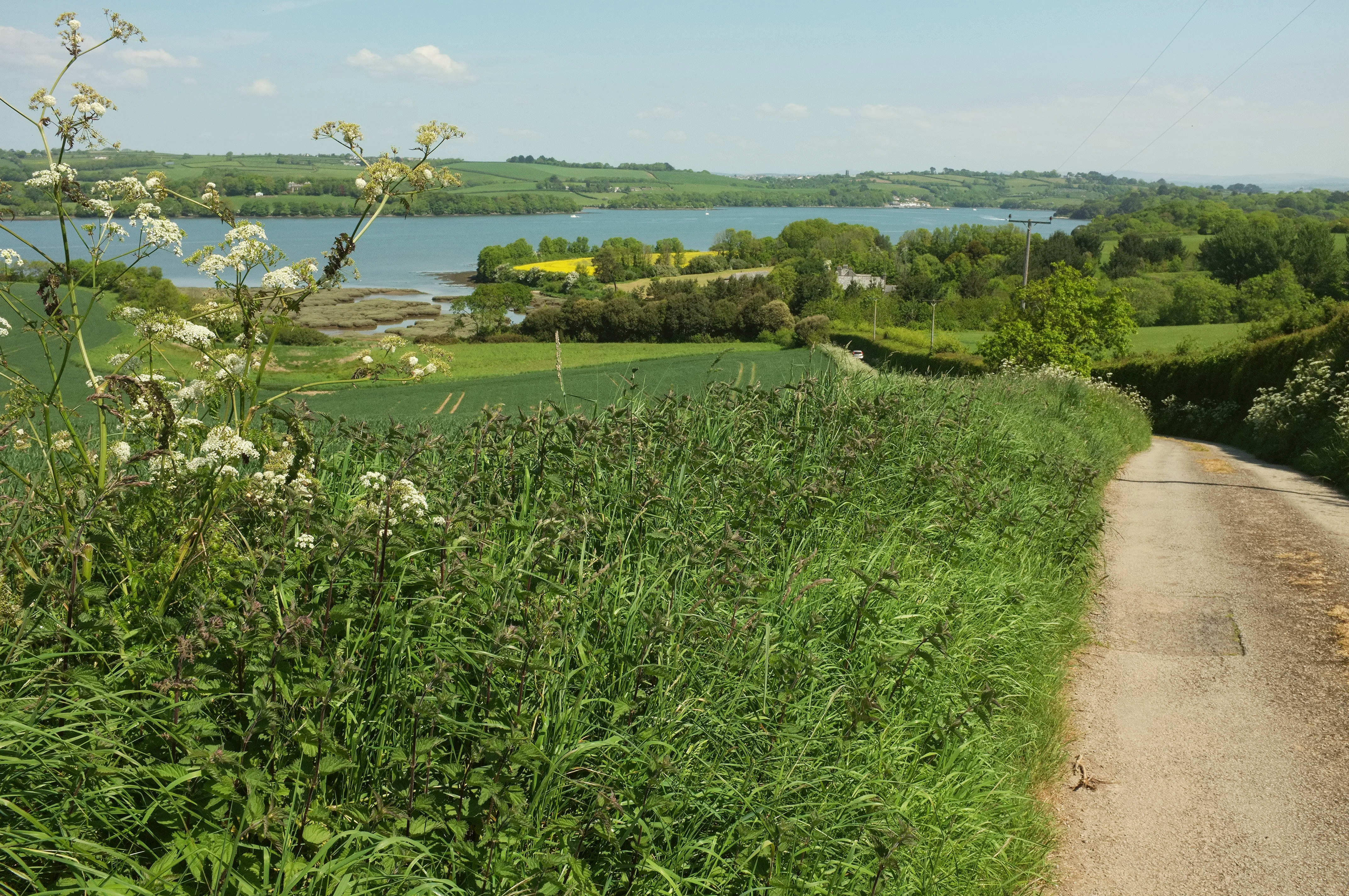 ABBOTSCOURT
