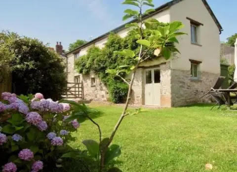 The Oxen House