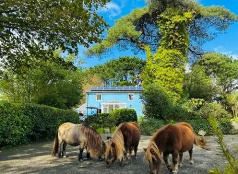 Bay View Cottage